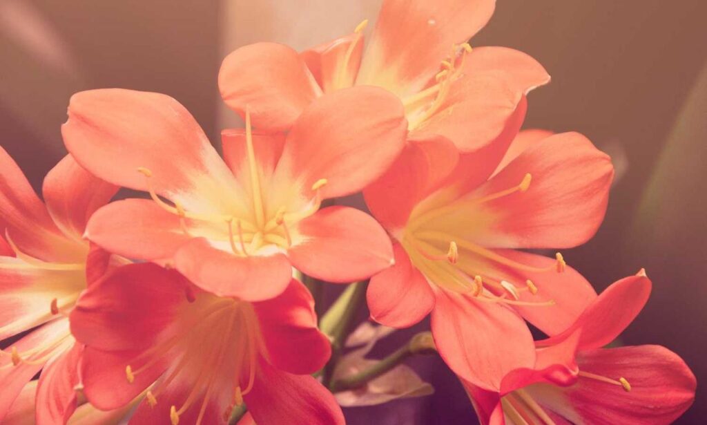 aggr8investing financial news from aggreg8