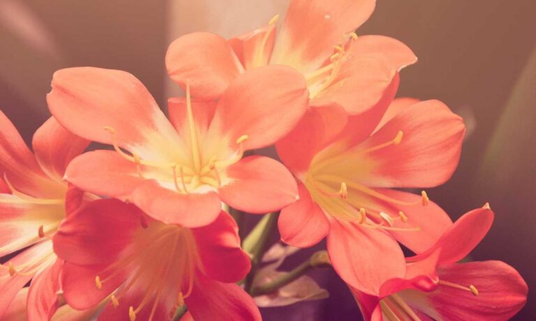 aggr8investing financial news from aggreg8