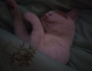 best investment advice for beginners rprinvesting