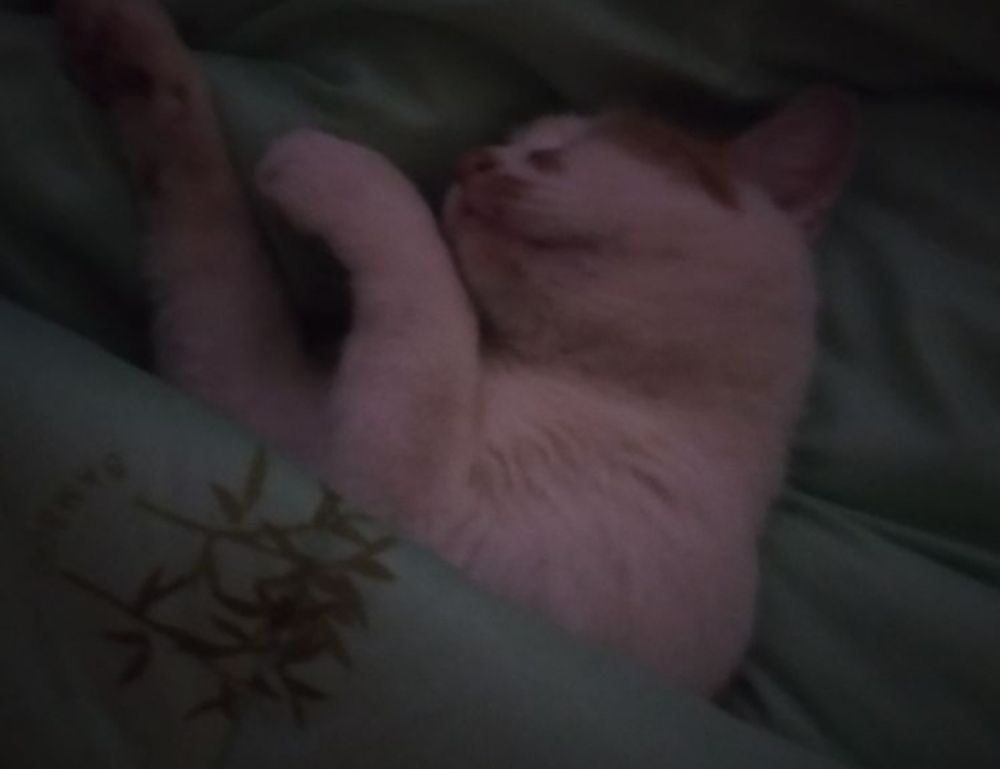 best investment advice for beginners rprinvesting