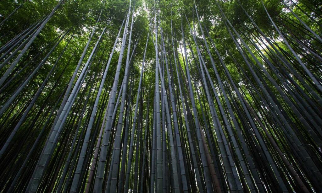 business guide aggr8investing