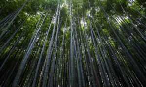 business guide aggr8investing