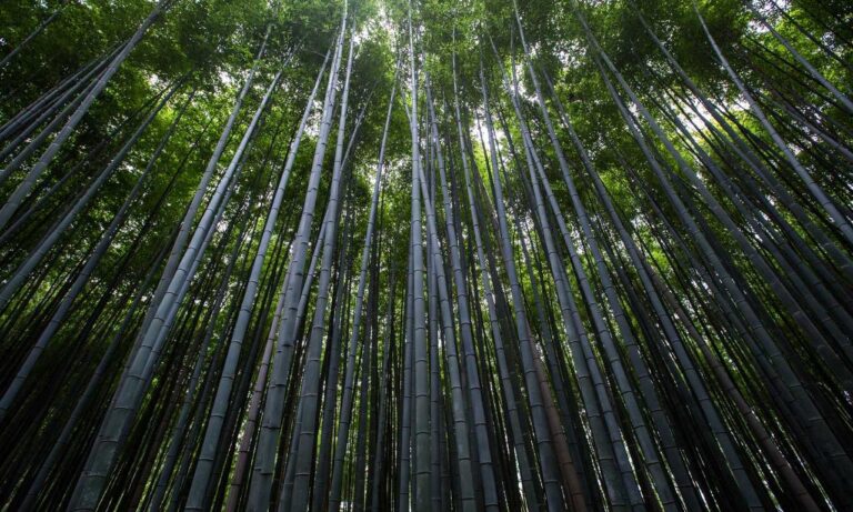 business guide aggr8investing