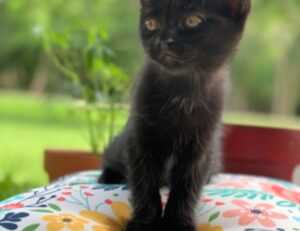 business guide aggr8investing