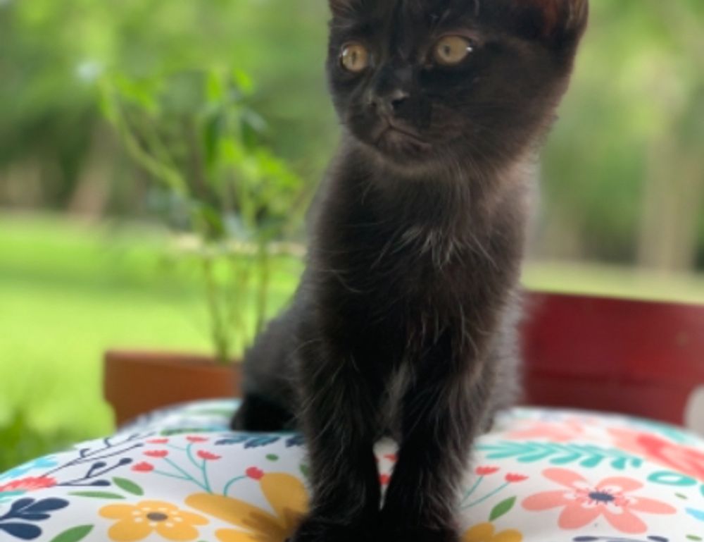 business guide aggr8investing