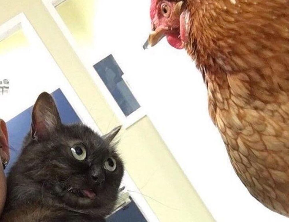 business properties aggr8investing