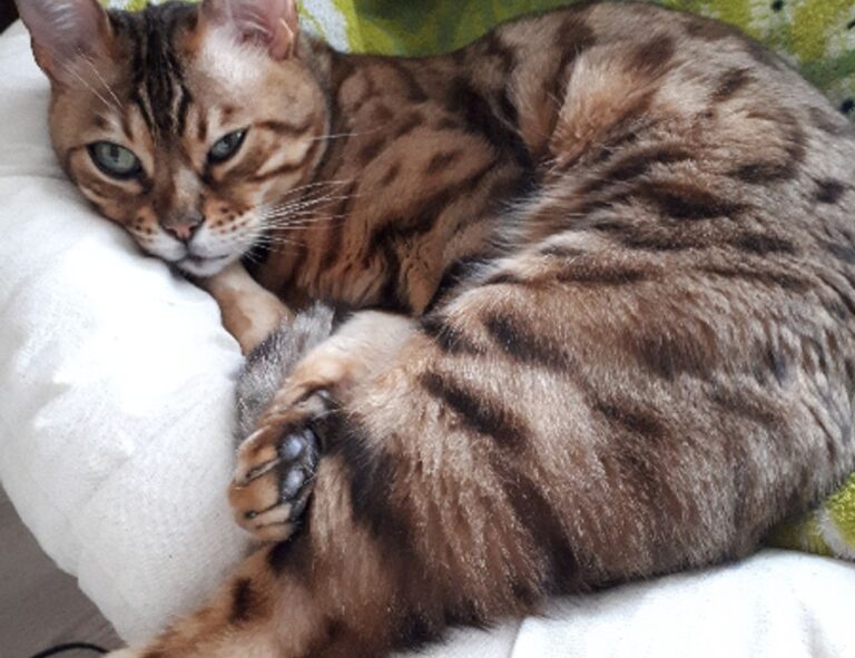 business property plans aggr8investing