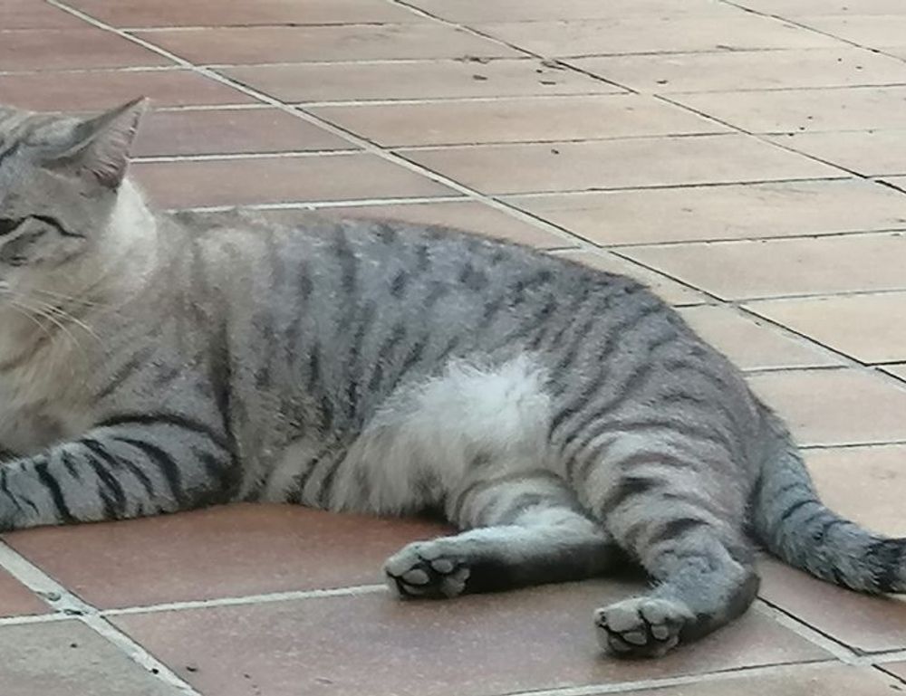 financial tips wbcompetitorative