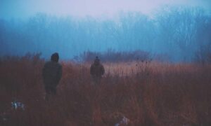 is investment advisor worth it rprinvesting