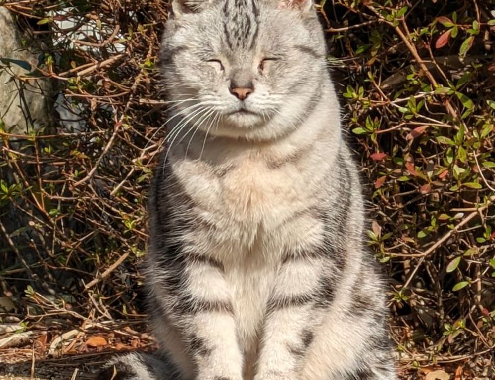 network updates roarbiznes