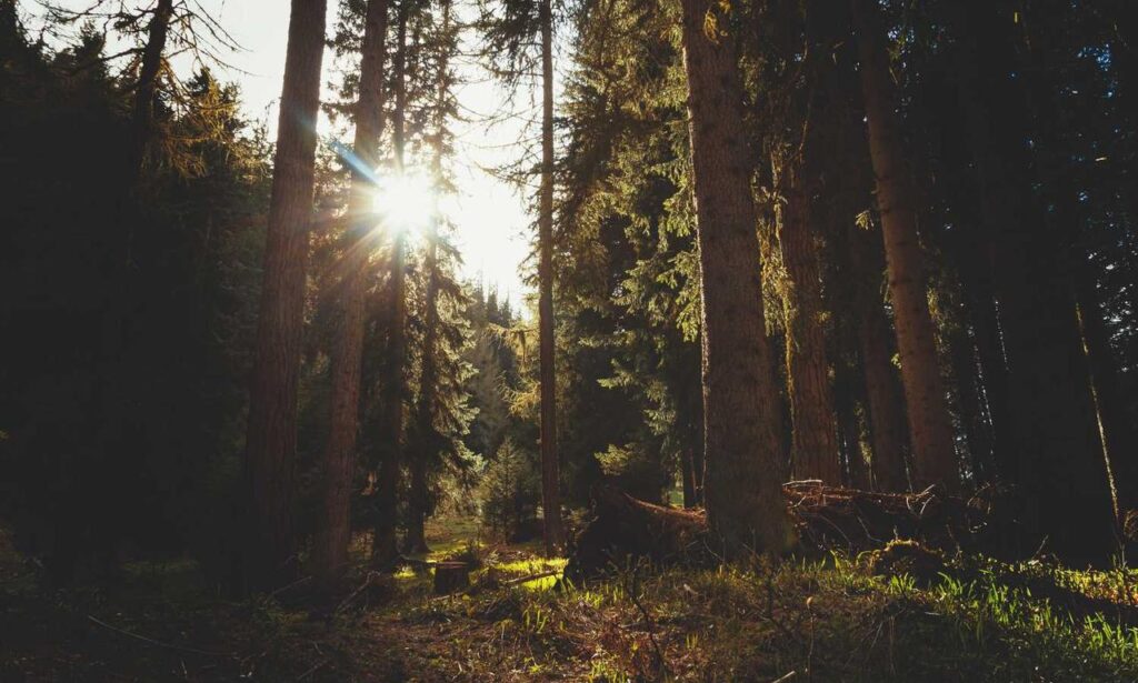 online banking guide rprinvesting