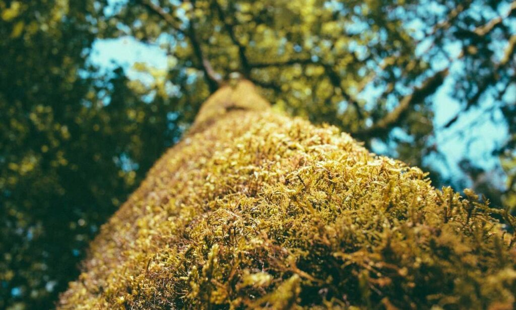 online banking updates rprinvesting