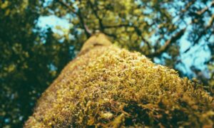 online banking updates rprinvesting