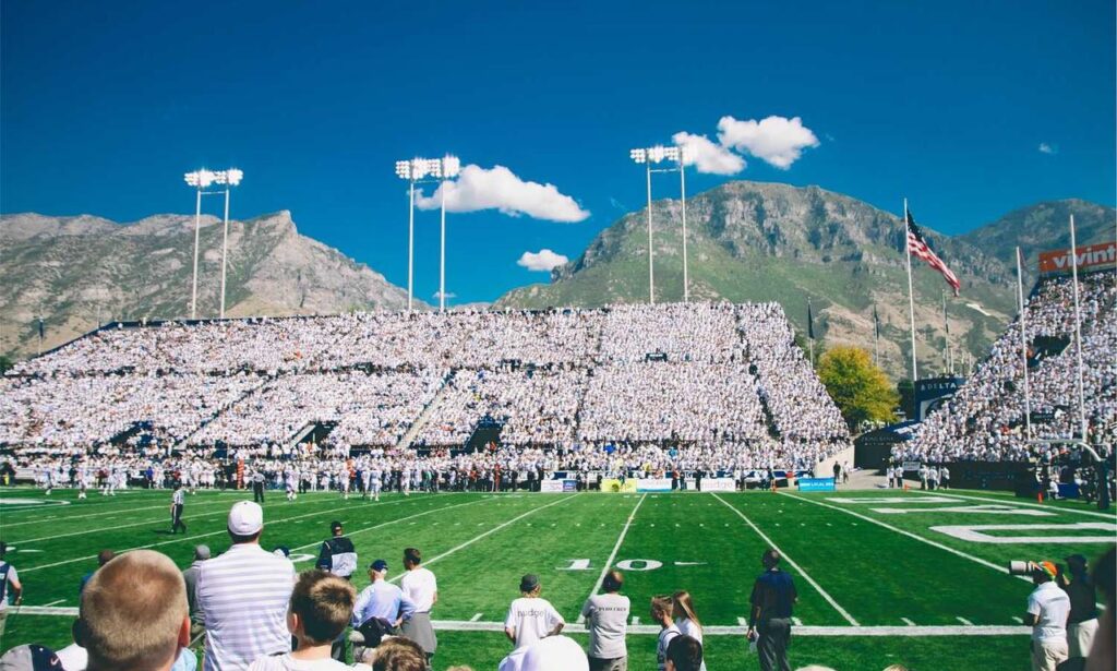 roarbiznes financial infoguide by riproar