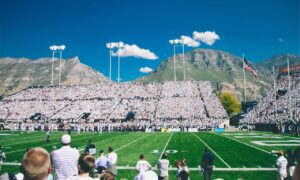 roarbiznes financial infoguide by riproar