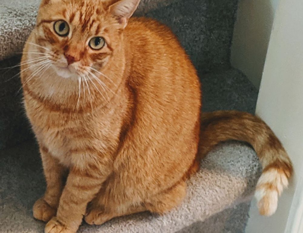 rprinvesting exchange guide from riproar