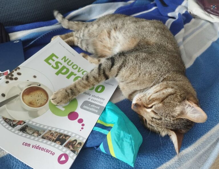 tech guide rprinvesting