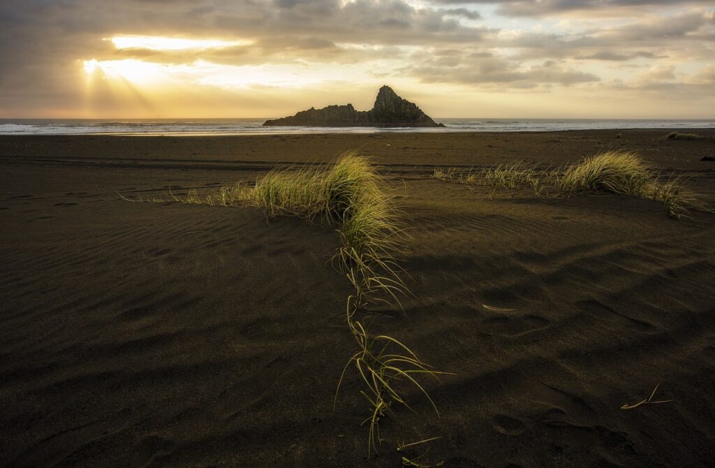 trading guide roarbiznes