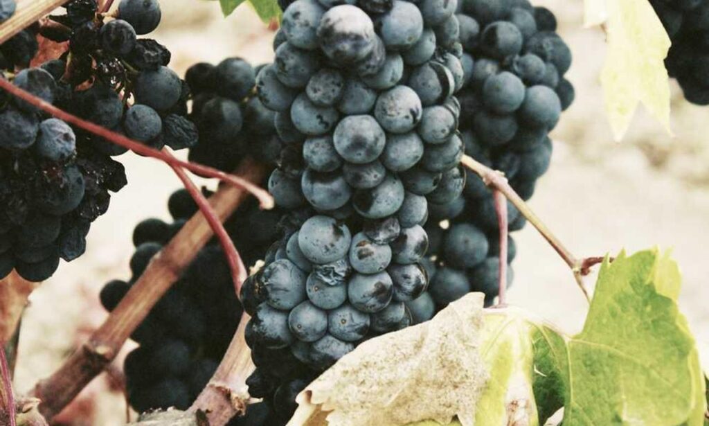 where to get best investment advice rprinvesting