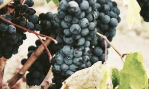 where to get best investment advice rprinvesting