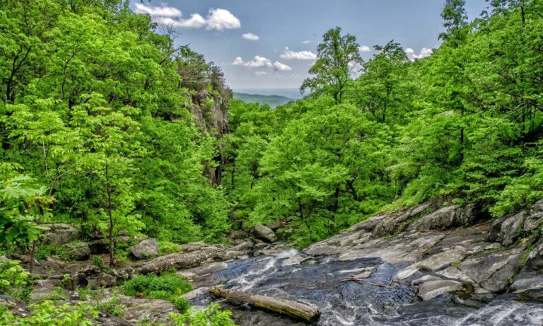 which business ideas to start aggr8investing