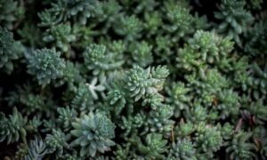 which business to buy wbcompetitorative