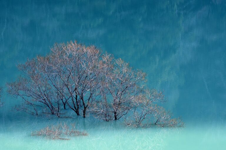 should i use zayepro pharmaceuticals ltd