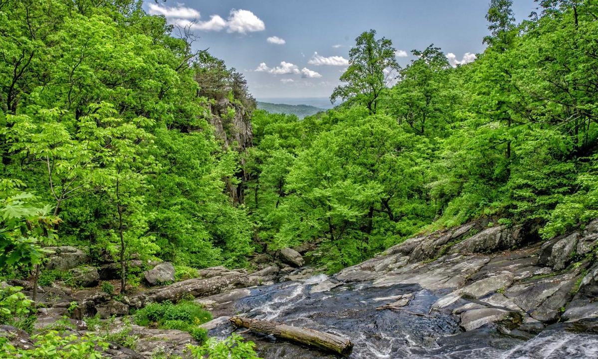 advice on how to start a business wbbiznesizing