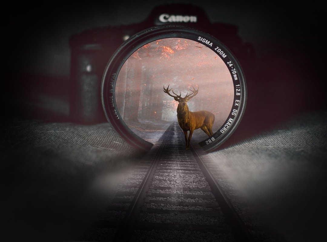 Network Updates Roarbiznes