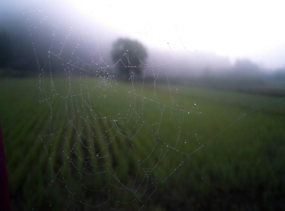 When You'll Need This Conversion: Practical Everyday Examples