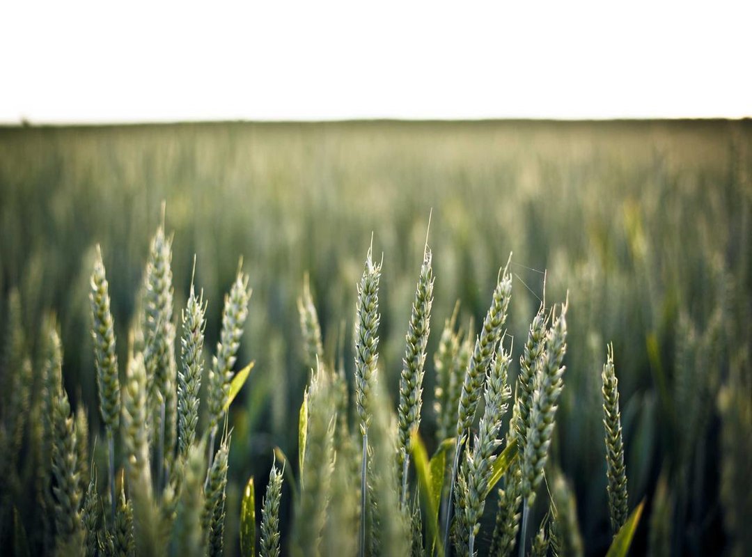 Spotlight on Key Performers: Analyzing a Celtics vs. Nets Matchup