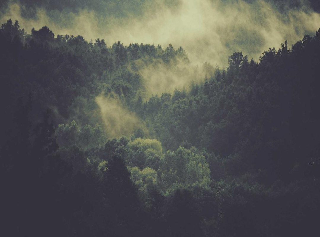 An Honest Review: The Pros and Cons of Buying Farmwood