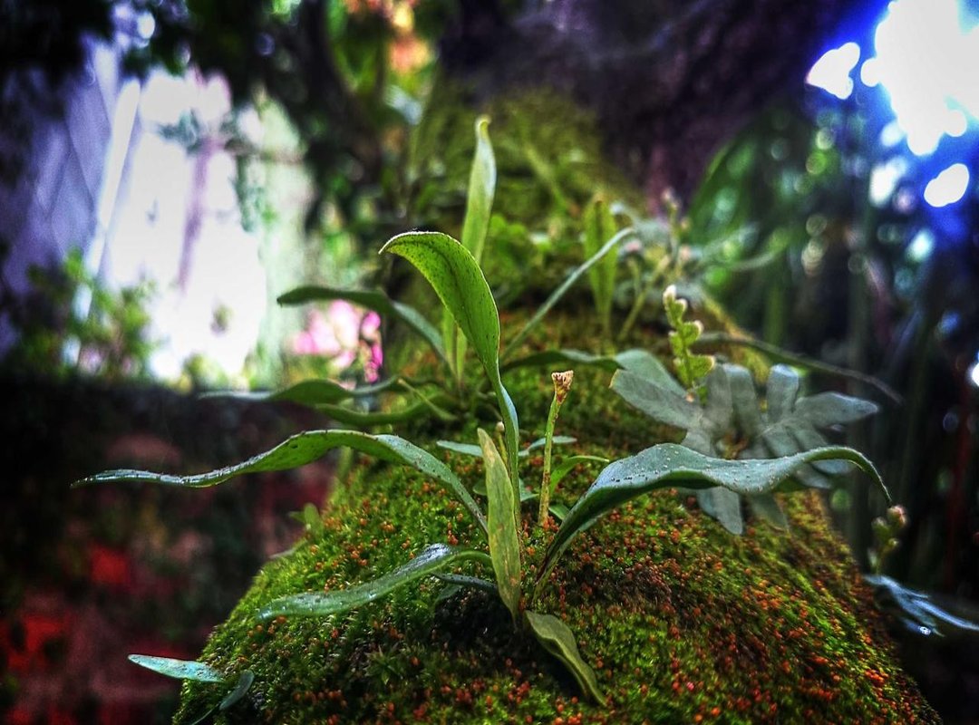 Choosing the Right Materials: From Metal Sheets to Clay Tiles