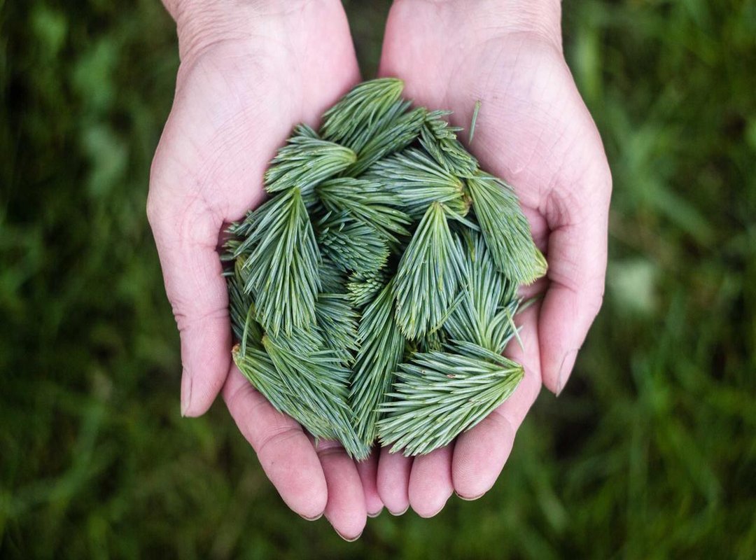 The Art of Sharing: How to Send GIFs Without Being Cringey