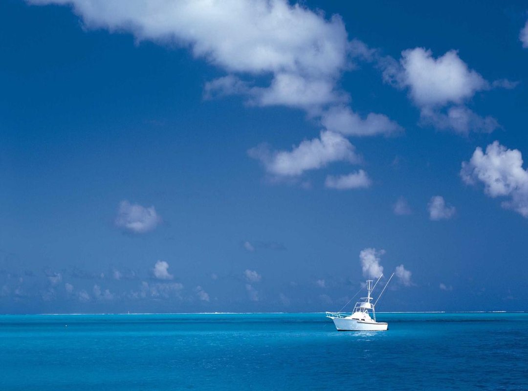 How It Stacks Up: Jinx Cap 50 vs. The Competition