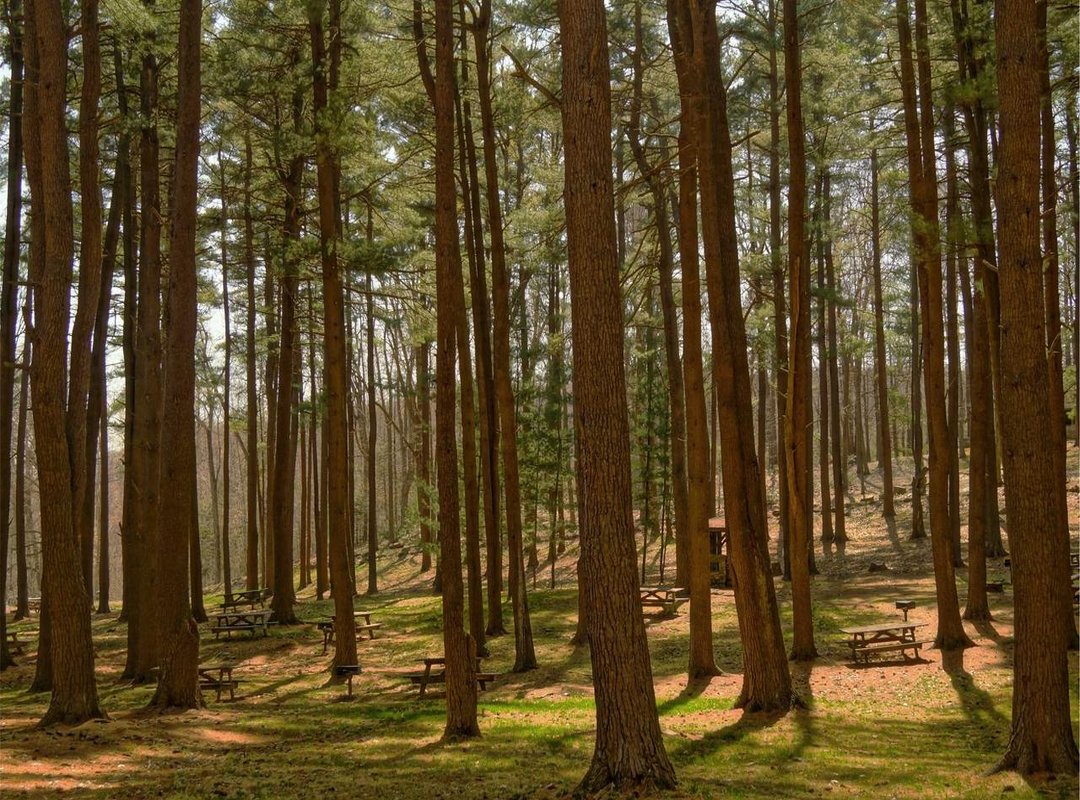 The Family Factor: The Business and Strategy Behind the Brand