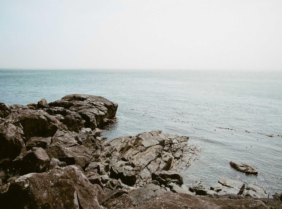 Action from Around the World: Other Leagues & Sports