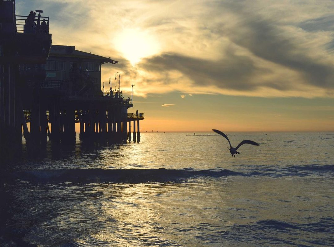 DNA and Dentistry: What Science Revealed About the 'Lovers'