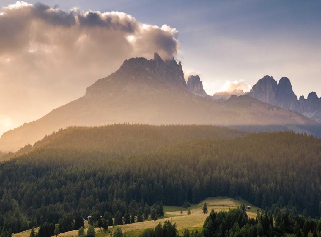 How to Make Your Own Safe & Delicious Tubby Custard at Home