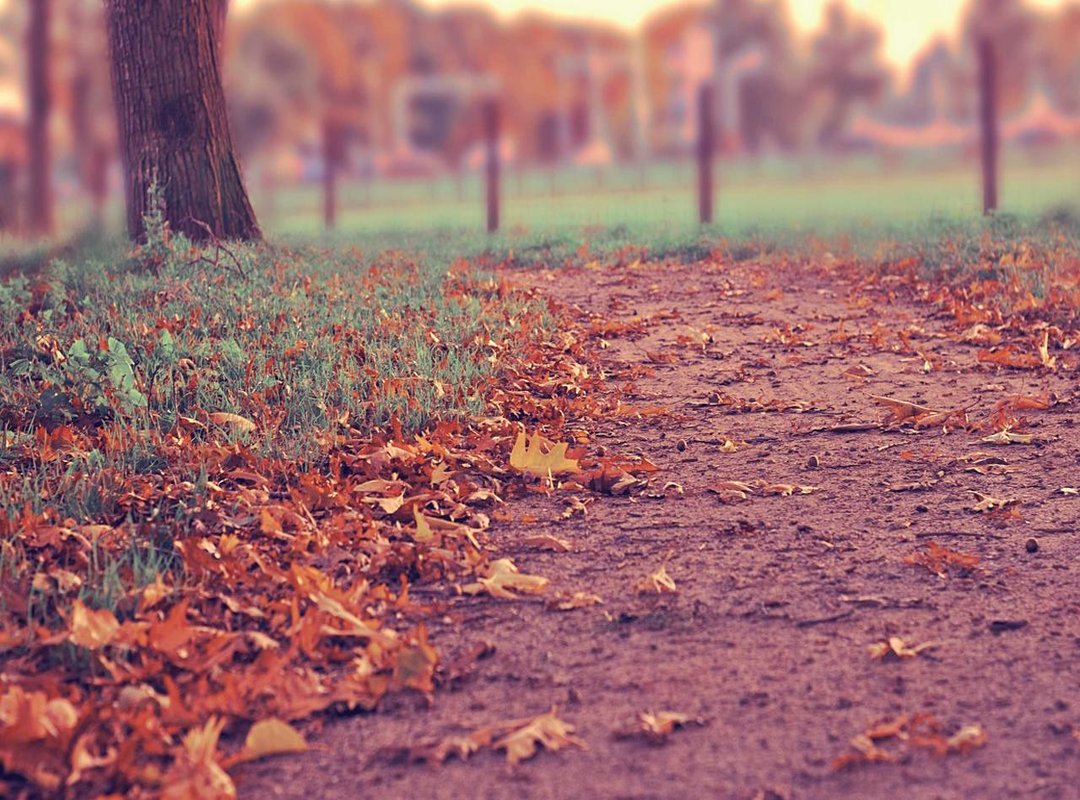 Navigating Fame Together: Public Appearances and Social Media