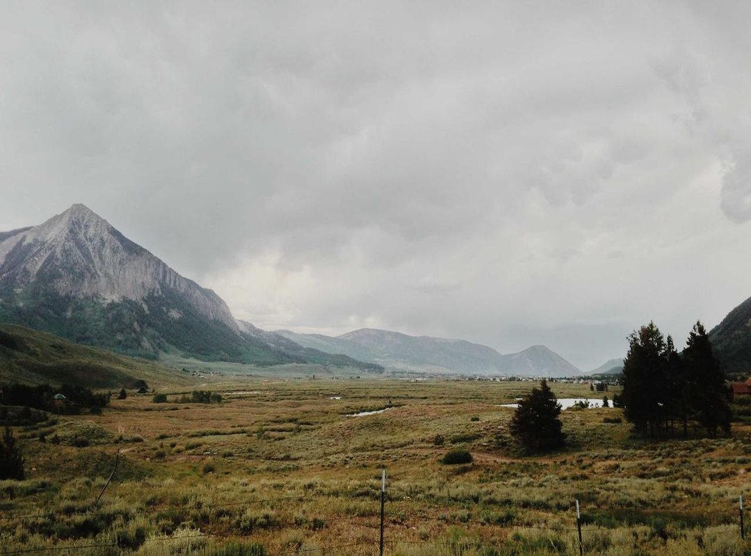 How to Set Your New Wallpaper on WhatsApp (iPhone & Android)