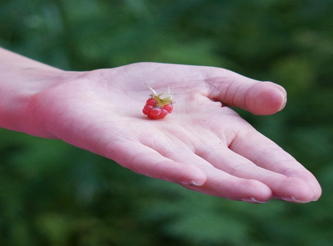 Mastering In-Game Power-Ups for When You're in a Pinch