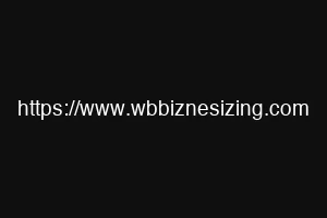 https://www.wbbiznesizing.com